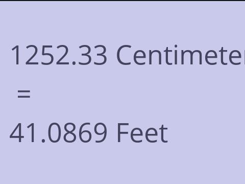 1252.33 CM TO FEET