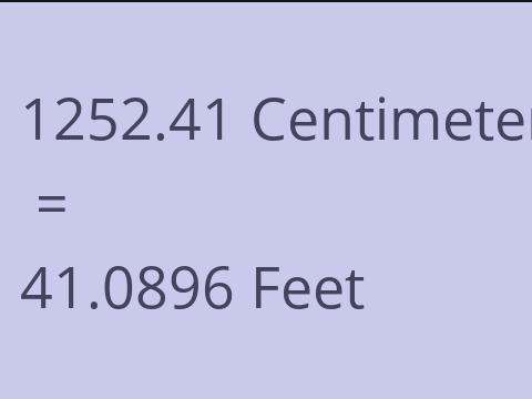 1252.41 CM TO FEET