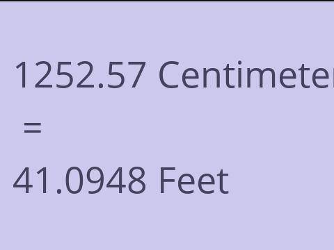 1252.57 CM TO FEET