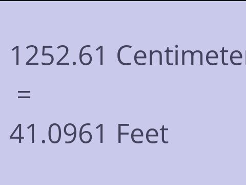 1252.61 CM TO FEET