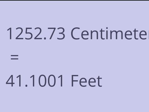 1252.73 CM TO FEET