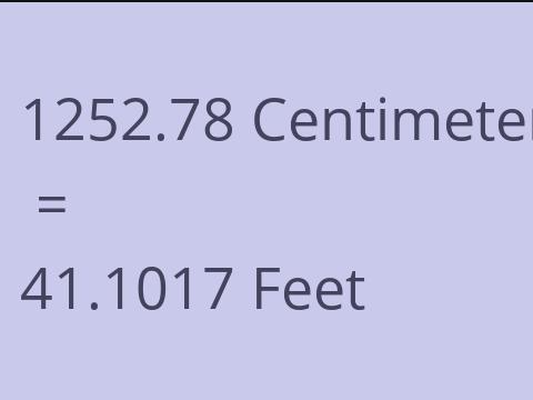 1252.78 CM TO FEET