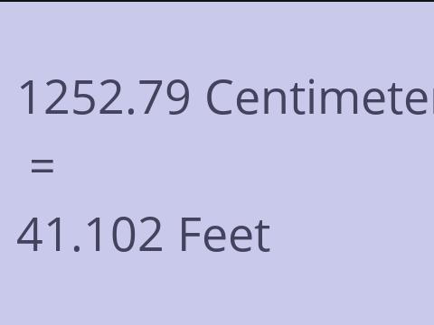 1252.79 CM TO FEET