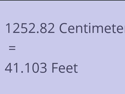 1252.82 CM TO FEET