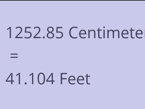 1252.85 CM TO FEET