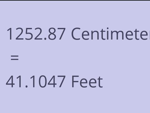 1252.87 CM TO FEET