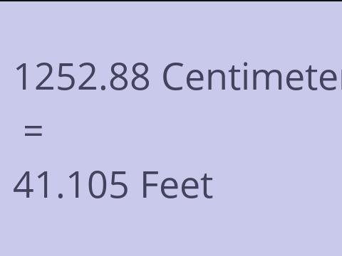 1252.88 CM TO FEET