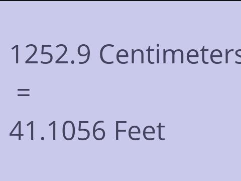 1252.9 CM TO FEET