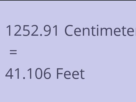 1252.91 CM TO FEET