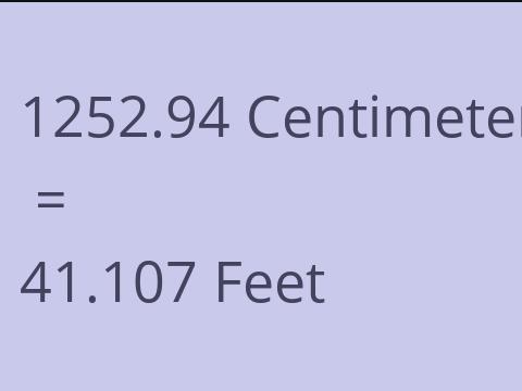 1252.94 CM TO FEET