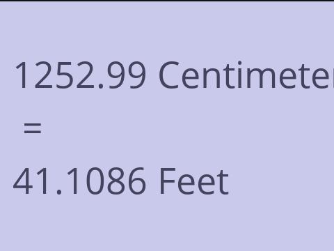 1252.99 CM TO FEET