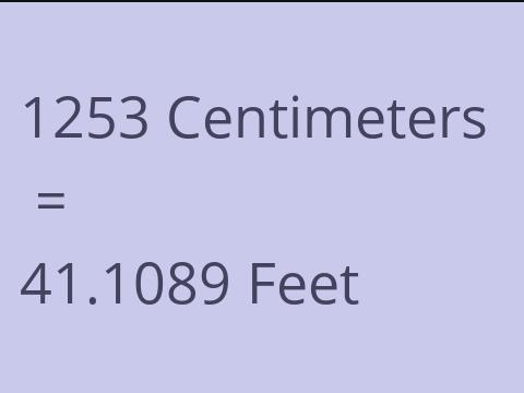 1253 CM TO FEET