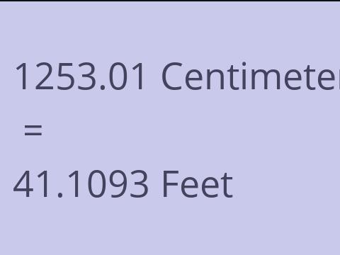 1253.01 CM TO FEET