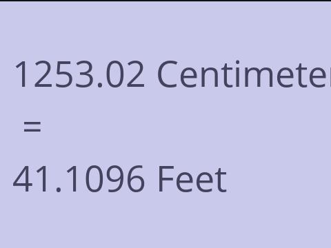 1253.02 CM TO FEET