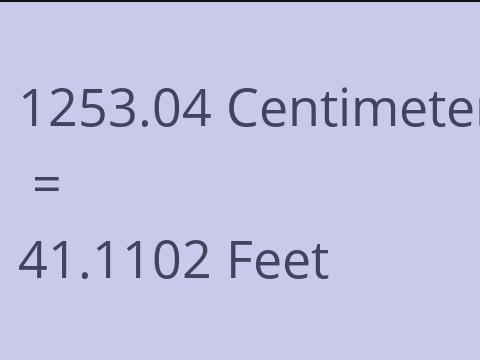 1253.04 CM TO FEET