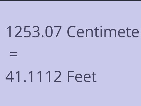 1253.07 CM TO FEET