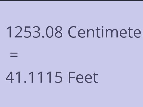 1253.08 CM TO FEET