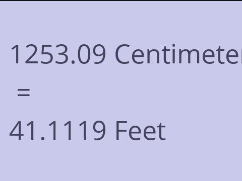 1253.09 CM TO FEET