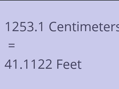 1253.1 CM TO FEET