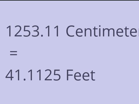 1253.11 CM TO FEET