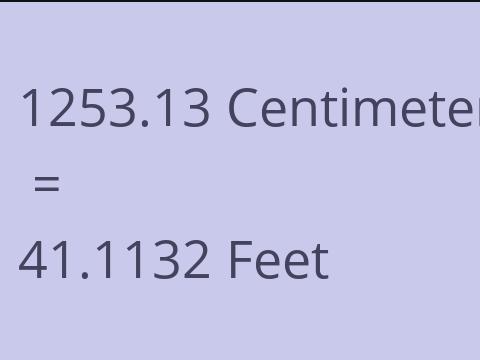 1253.13 CM TO FEET