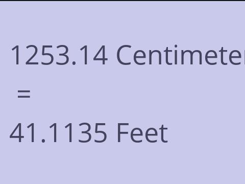 1253.14 CM TO FEET