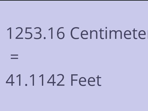 1253.16 CM TO FEET