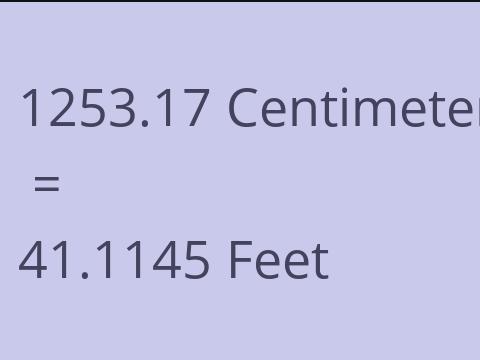 1253.17 CM TO FEET