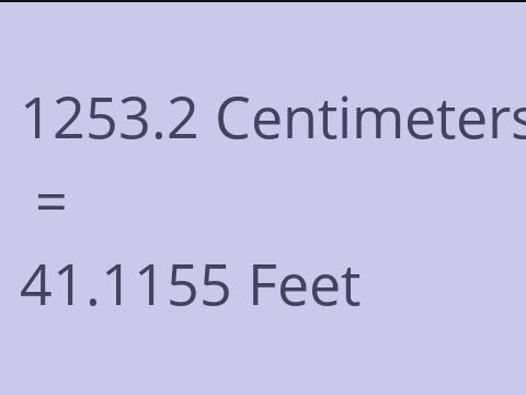 1253.2 CM TO FEET