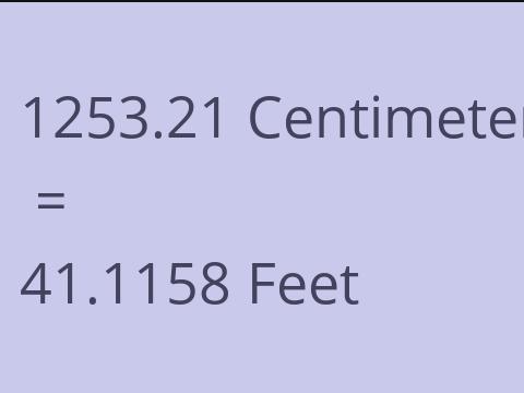 1253.21 CM TO FEET