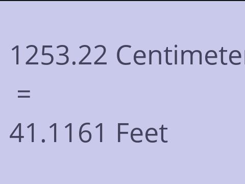 1253.22 CM TO FEET