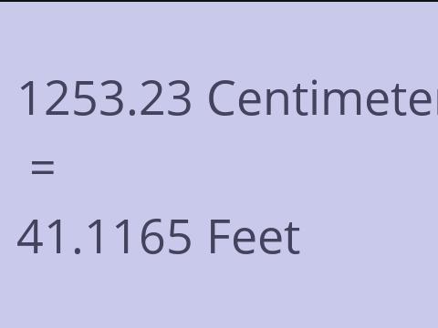 1253.23 CM TO FEET