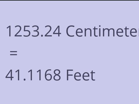 1253.24 CM TO FEET