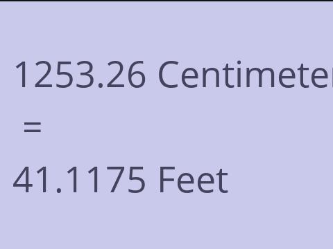 1253.26 CM TO FEET