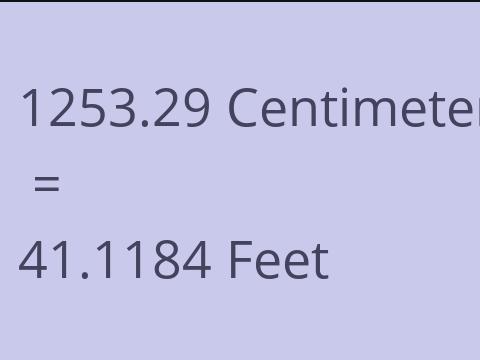 1253.29 CM TO FEET