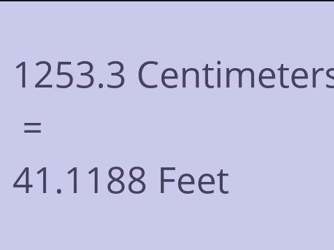 1253.3 CM TO FEET