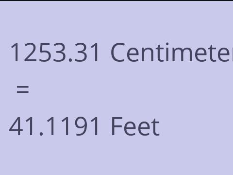 1253.31 CM TO FEET