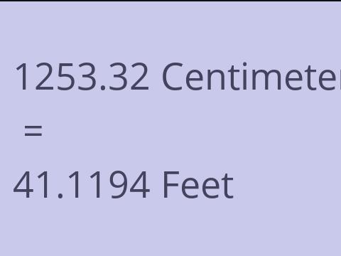 1253.32 CM TO FEET