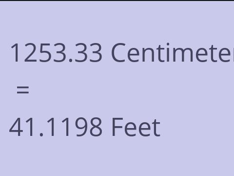 1253.33 CM TO FEET