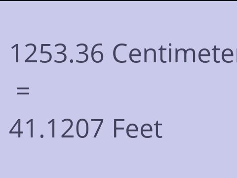 1253.36 CM TO FEET