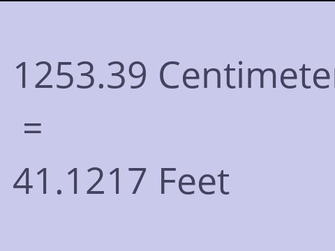 1253.39 CM TO FEET