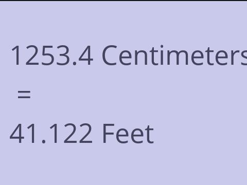 1253.4 CM TO FEET