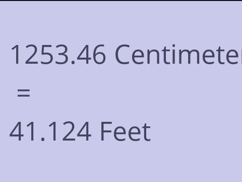 1253.46 CM TO FEET