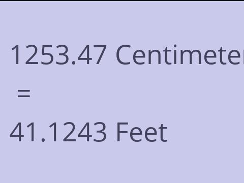 1253.47 CM TO FEET