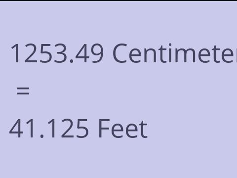 1253.49 CM TO FEET