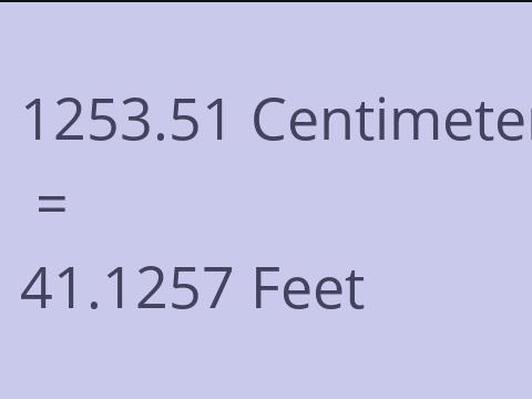 1253.51 CM TO FEET