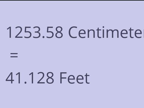 1253.58 CM TO FEET