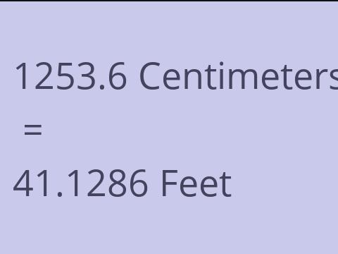 1253.6 CM TO FEET