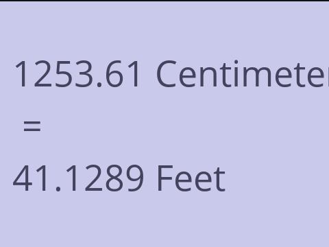 1253.61 CM TO FEET