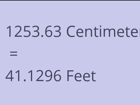 1253.63 CM TO FEET